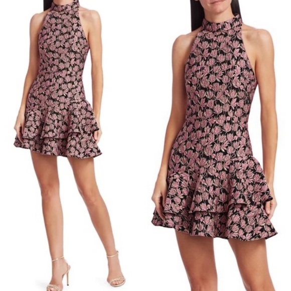NWT ML Monique Lhuillier Rita Ruffled Mini Dress - Picture 4 of 15
